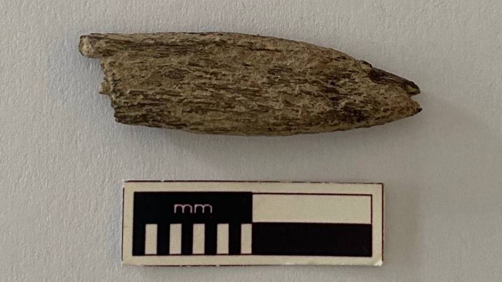 Ancient artefact found near Murray Bridge | Proud Mary